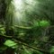 Limelight - Labertouche Forest