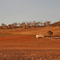 East of Cooma