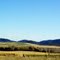 Monaro plains