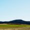 Green Plains