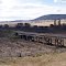Chakola Rail Bridges