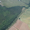 Gray Farm