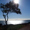 Rocky Point