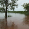hornibrook at high tide
