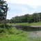 Knob Noster State Park - July