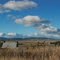 Breeza Plains