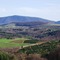 View from Hickory Mountain 2