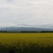 Campbell Town