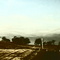 Tasmanian Midlands 2008