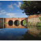 The Red Bridge