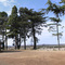 View of the Central Plateau from the grounds of the Uniting Church, Ross.
