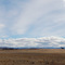 Tasmanian Midlands