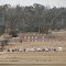 Campbell Town Rifle Range