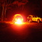 Bush Camp Near Davyhurst-How I like It