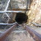 Looking Down Into Old Sharft