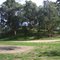 Warburton Bridge Camping Ground