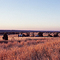 Rural Australia