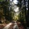Strada d'autunno