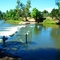 Cahills Xsing