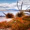 Ralphs Bay and foreshore Conservation area