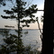Jordan Lake bulbous shore North East