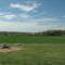 Maple View Farm