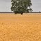Gwydir Highway