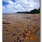 Inlet
