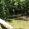 Daintree Nationalpark