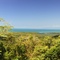 Cape Tribulation lookout