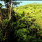 Daintree Rainforest Discovery Centre...© by leo1383