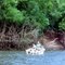 Daintree River （バラマンディ釣りで訪れたデインツリー川）