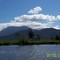 daintree river