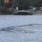 Daintree River Ferry