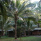 Koala Beach Resort, Cape Kimberley