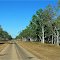 The Woodlands - Tableland Hwy South of Cape Crawford, NT, Australia