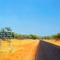 the road to the Stuart highway