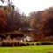 Cobden Creek, Cobden, Victoria