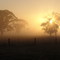 Sunrise, Cobden, Victoria