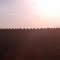 Tractors on the Prairie