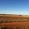 Condobolin by Dr Muhammad J Siddiqi State Water Corp