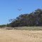 Warrana Beach