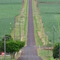 Road at Childers