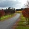Road to lots of nice wines.