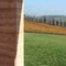 TarraWarra Estate - Winery