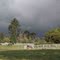 Peaceful country life in Wandin (Yallock) North