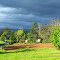 …sunlight brightening the Wandin country