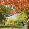 Fragile Autumn