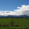 Yarra Ranges near Healesville