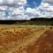 Victoria River area, NT, Australia
